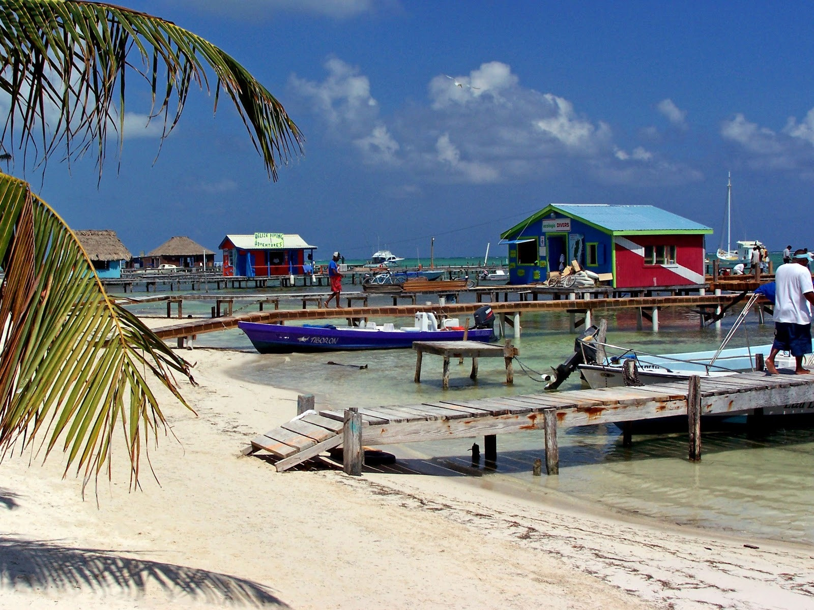Commercial truck driver reviewing paperwork at border crossing facility