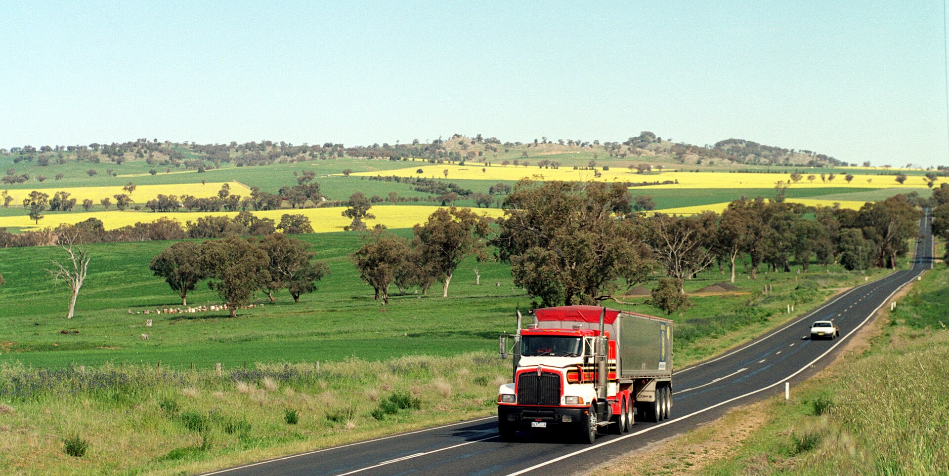 Commercial driver license medical certificate and motor vehicle record documents on desk
