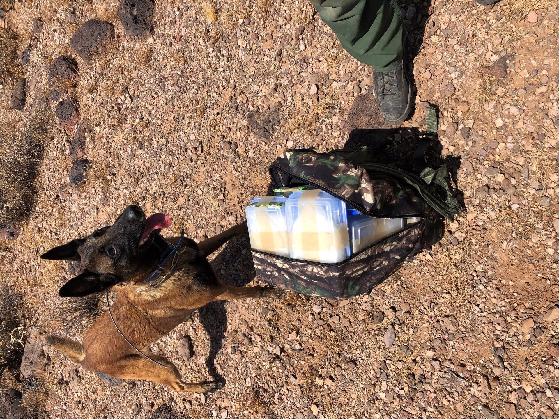 Federal law enforcement agents conducting a search operation at a commercial property